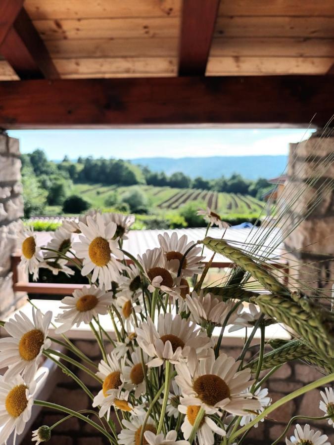 Guesthouse Marija Potpićan エクステリア 写真